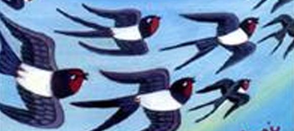 volo rondini